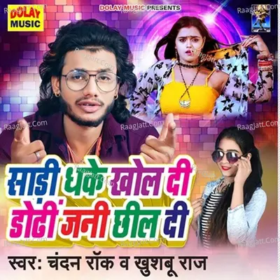 Sadi Dhake Khol Di Dodi Jani Chhil Di Cover