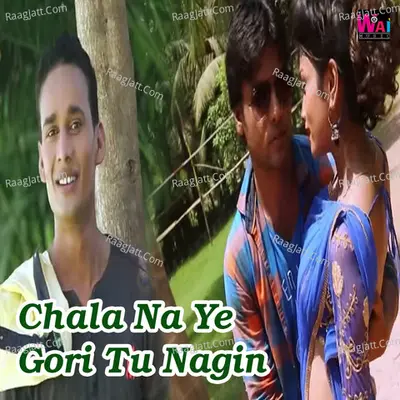 Chala Na Ye Gori Tu Nagin Cover