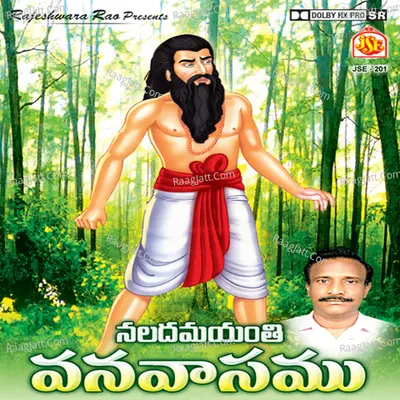 Naladamayanti Vanavasam Cover