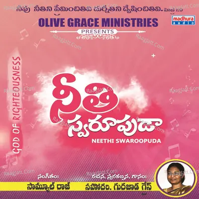 Neethi Swaroopuda Poster