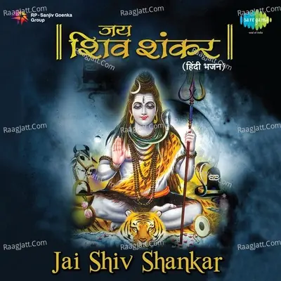 Jai Shiv Shankar - Om Vyas