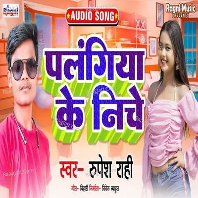 Palangiya Ke Niche Cover