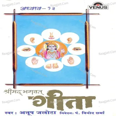 Shreemad Bhagwat Geeta- Vol- 13 - Anup Jalota