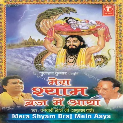 Mera Shyam Braj Mein Aaya - Banwari Lal Ji(Amritsar Wale)