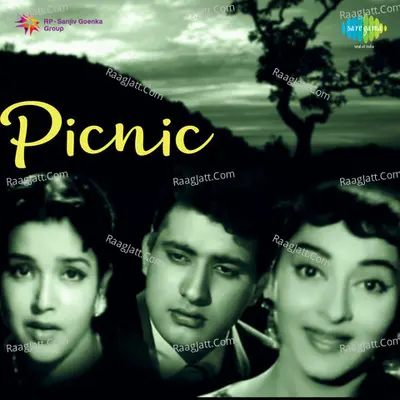 Picnic Poster