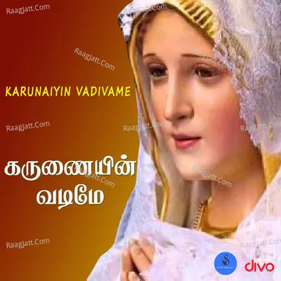 Meera Krishnan Image