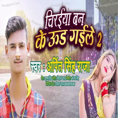 Arpit Singh Raja Image