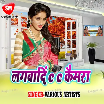 Lagwada Cc Camera Poster