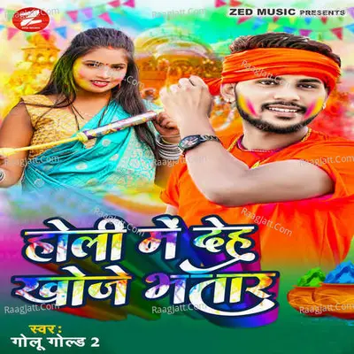 Holi Me Deh Khoje Bhatar Cover