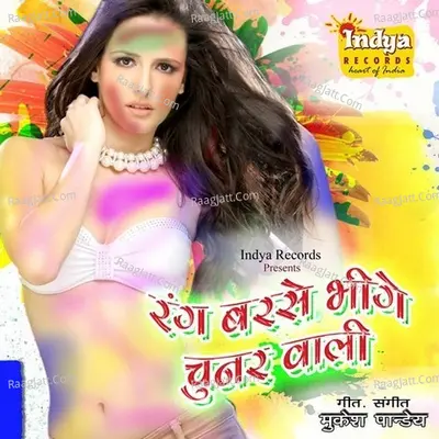 Rang Barse Bhinge Chunar Wali - Ashish Pandey