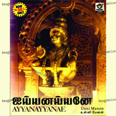 Ayyanayyanae - Unni Menon