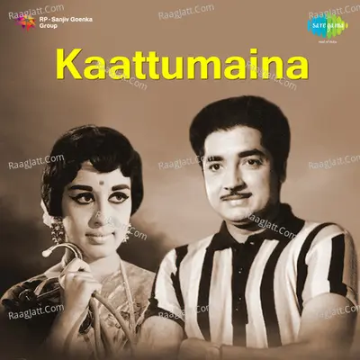 Kaattumaina Cover
