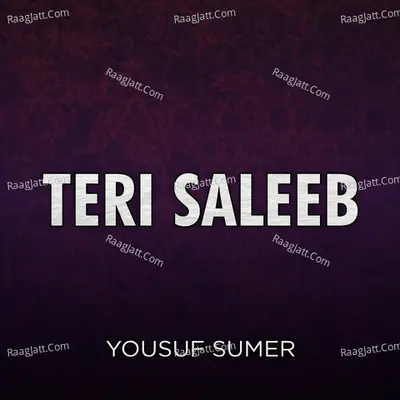 Teri Saleeb Poster