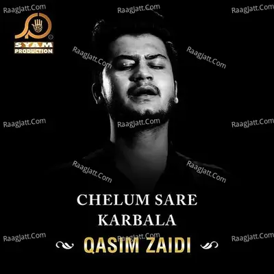 Chelum Sare Karbala - Qasim Zaidi