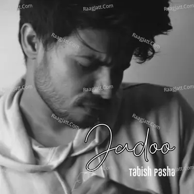 Tabish Pasha Image