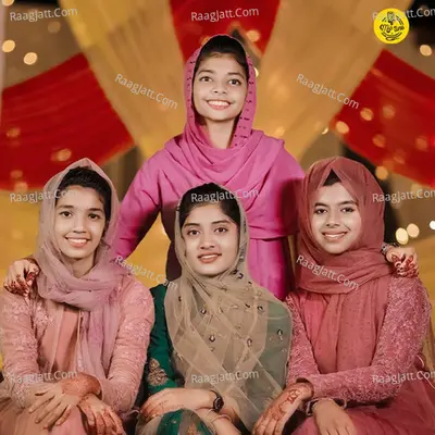 Zainudheen Alanallur Image