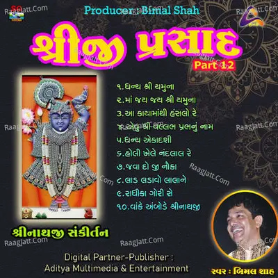 Shreeji Prasad-Shreenathji Sankirtan Pt.12 - BIMAL SHAH