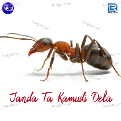 Janda Ta Kamudi Dela - Abhijeet Majumdar