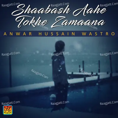 Shaabash Aahe Tokhe Zamaana Poster