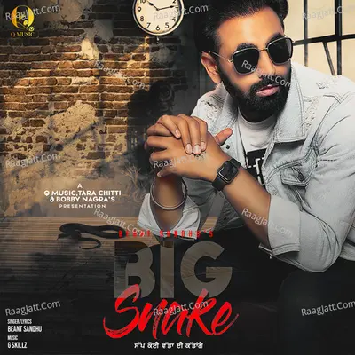 Big Snake Cover