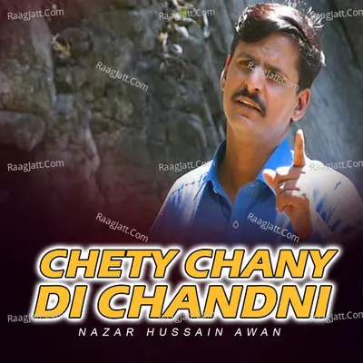 Chety Chany Di Chandni Cover