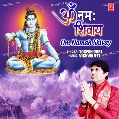 Om Namah Shivay Cover