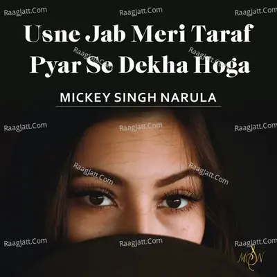 Usne jab Meri taraf Pyar Se Dekha Hoga Cover