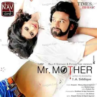 I Am Mr Mother Poster