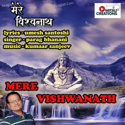 Parag Bhanani Image