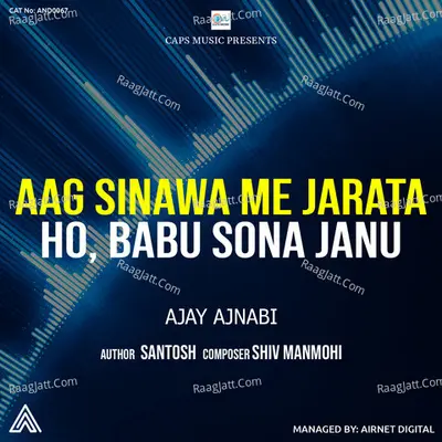 Aag Sinawa Me Jarata Ho Cover