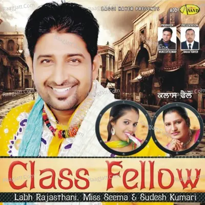 Class Fellow Poster