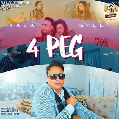 4 Peg Cover