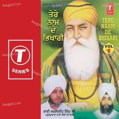Tere Naam De Bhikhari - Bhai Amandeep Singh Ji