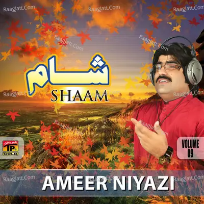 Shaam, Vol. 9 - Ameer Niyazi