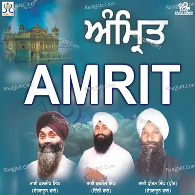 Amrit Poster