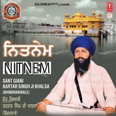 Nit Nem Poster