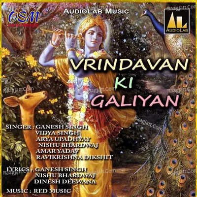 Vrindavan Ki Galiyan Poster