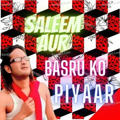 Saleem aur basru ko piyaar Cover