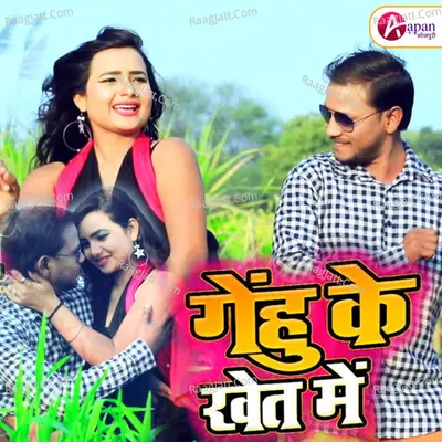 Gehu Ke Khet Me Cover