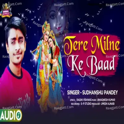 Tere Milne Ke Baad