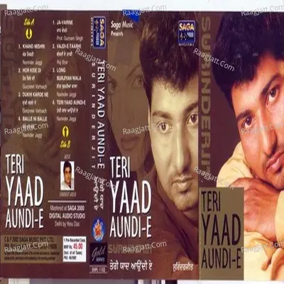 Teri Yaad Aundi E Poster