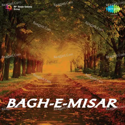 Bagh-E-Misar Poster