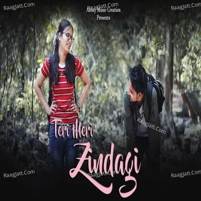 Teri Meri zindagi Cover