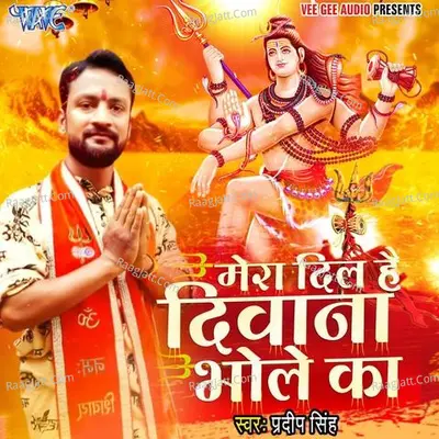Mera Dil Hai Deewana Bhole Ka Cover