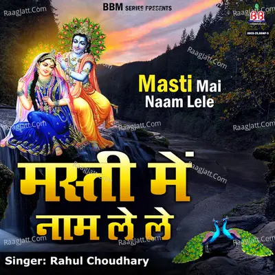 Rahul Choudhary Image