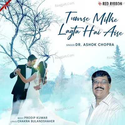 Tumse Milke Lagta Hai Aise Cover