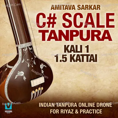 C# Scale Tanpura - Kali 1, 1.5 Kattai (Indian Tanpura Online Drone For Riyaz &amp; Practice)