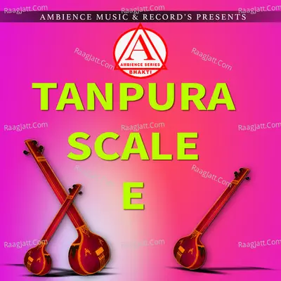 Tanpura E Scale Cover