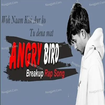 Angry Bird - Firoz D&R