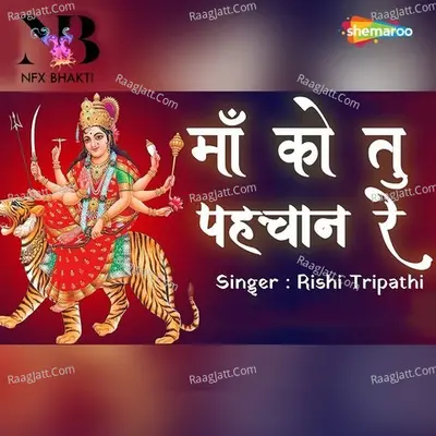 Rishi Tripathi Image